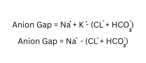 Formulas used to calculate the serum anion gap: standard and extended versions with sodium, chloride, bicarbonate, and potassium.