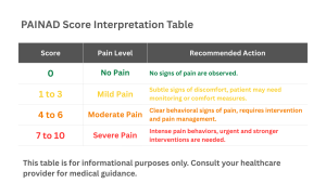 Table showing PAINAD Scale scoring ranges with no pain up to severe pain evaluation with the related scoring and the recommended action.